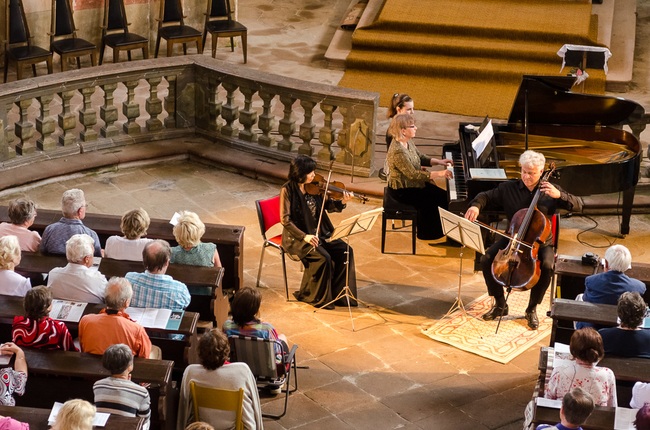 2015 | Kubelíkovo trio